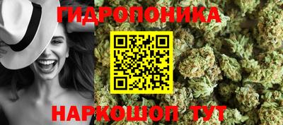 a pvp Будённовск